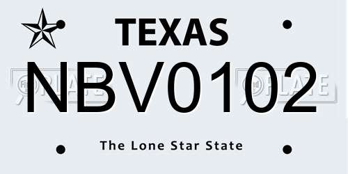 NBV0102 Texas License Plate