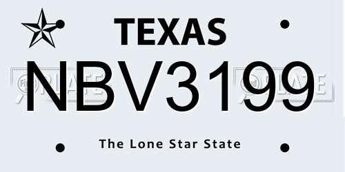NBV3199 Texas License Plate