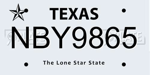 NBY9865 Texas License Plate