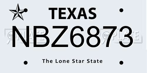 NBZ6873 Texas License Plate