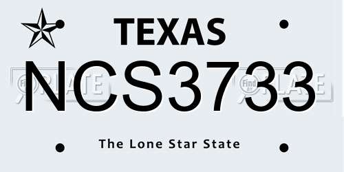 NCS3733 Texas License Plate