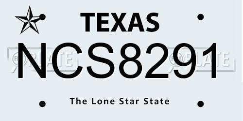 NCS8291 Texas License Plate