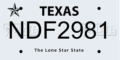 NDF2981 Texas License Plate