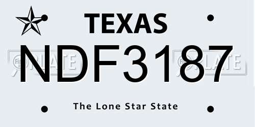 NDF3187 Texas License Plate