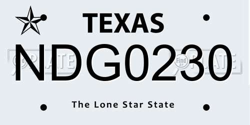 NDG0230 Texas License Plate