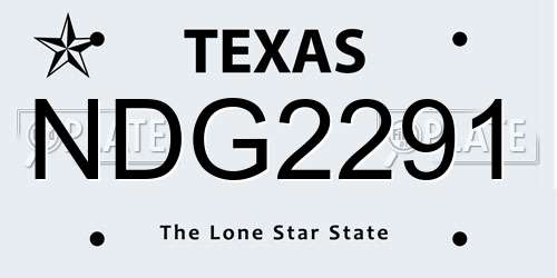 NDG2291 Texas License Plate