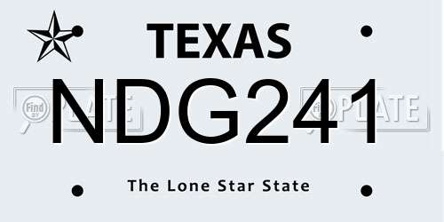 NDG241 Texas License Plate