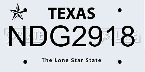 NDG2918 Texas License Plate