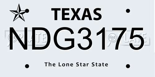 NDG3175 Texas License Plate