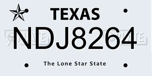 NDJ8264 Texas License Plate