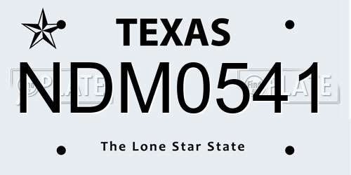 NDM0541 Texas License Plate