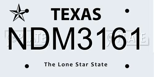 NDM3161 Texas License Plate