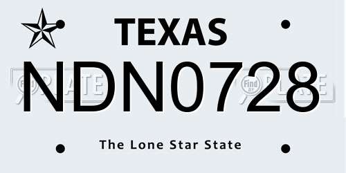 NDN0728 Texas License Plate