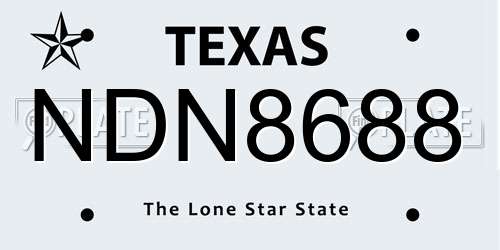 NDN8688 Texas License Plate