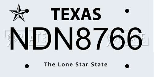 NDN8766 Texas License Plate