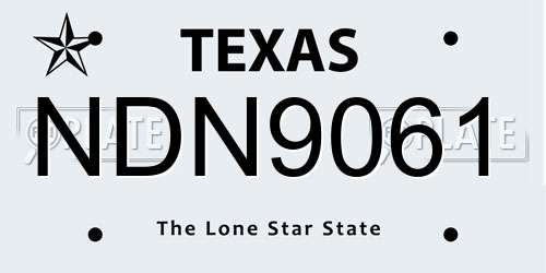 NDN9061 Texas License Plate