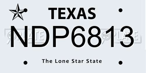 NDP6813 Texas License Plate