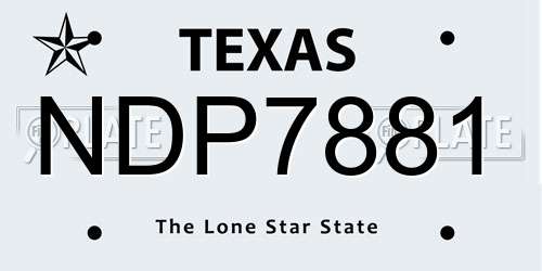 NDP7881 Texas License Plate