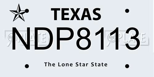 NDP8113 Texas License Plate