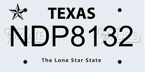 NDP8132 Texas License Plate