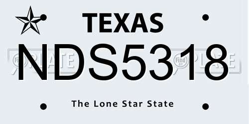 NDS5318 Texas License Plate
