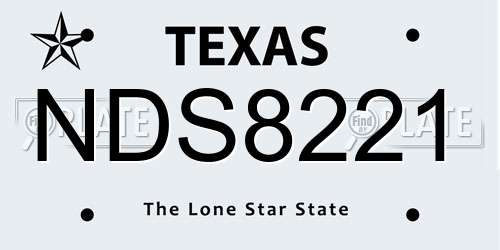 NDS8221 Texas License Plate