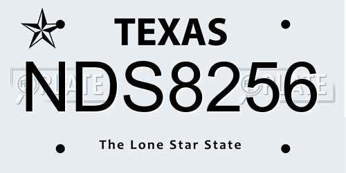 NDS8256 Texas License Plate