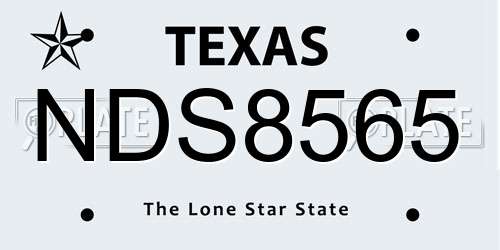 NDS8565 Texas License Plate
