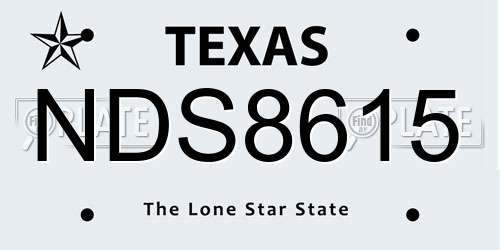 NDS8615 Texas License Plate