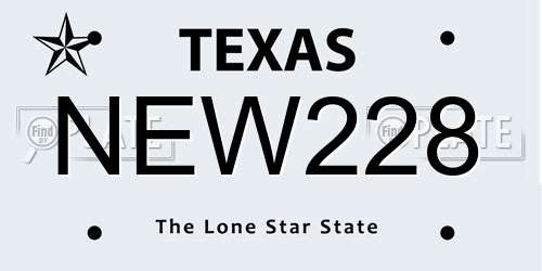 NEW228 Texas License Plate