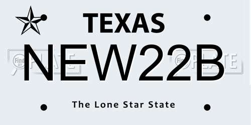 NEW22B Texas License Plate