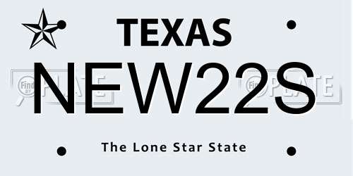 NEW22S Texas License Plate