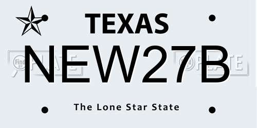 NEW27B Texas License Plate