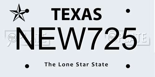 NEW725 Texas License Plate