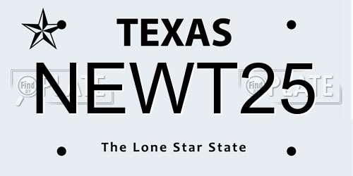 NEWT25 Texas License Plate