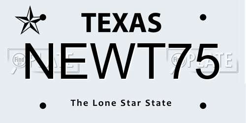 NEWT75 Texas License Plate