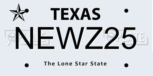NEWZ25 Texas License Plate