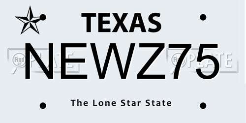 NEWZ75 Texas License Plate