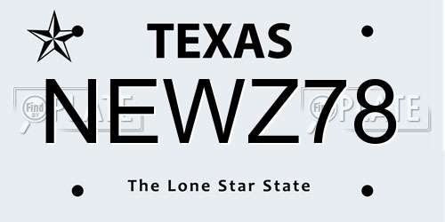 NEWZ78 Texas License Plate