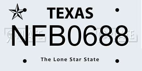 NFB0688 Texas License Plate