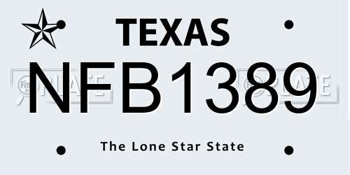NFB1389 Texas License Plate