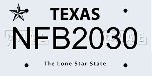 NFB2030 Texas License Plate