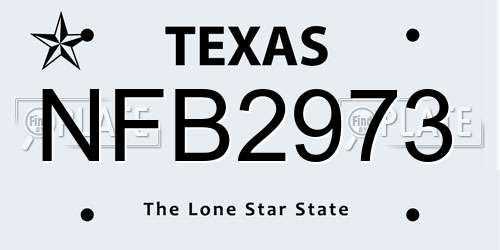 NFB2973 Texas License Plate