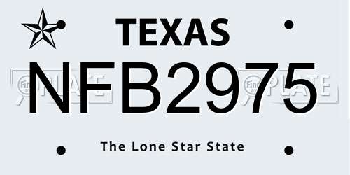 NFB2975 Texas License Plate