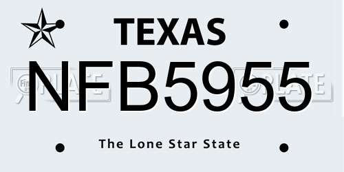 NFB5955 Texas License Plate