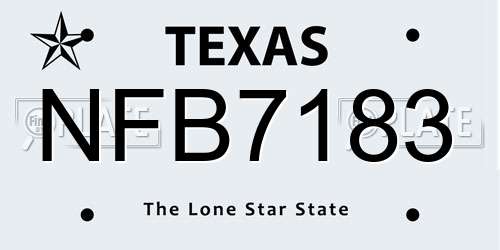 NFB7183 Texas License Plate