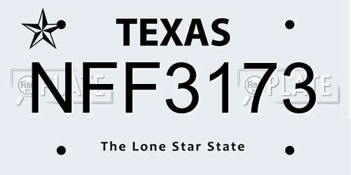 NFF3173 Texas License Plate
