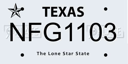 NFG1103 Texas License Plate