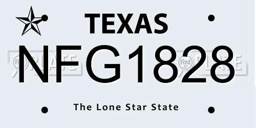 NFG1828 Texas License Plate