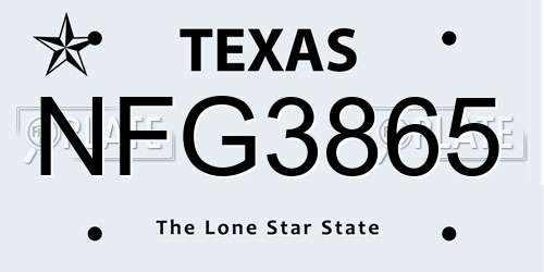 NFG3865 Texas License Plate
